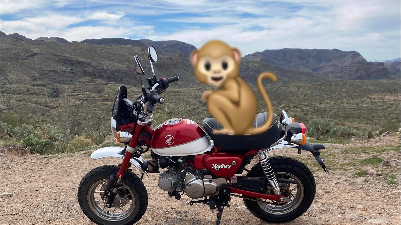 Honda Monkey adventures