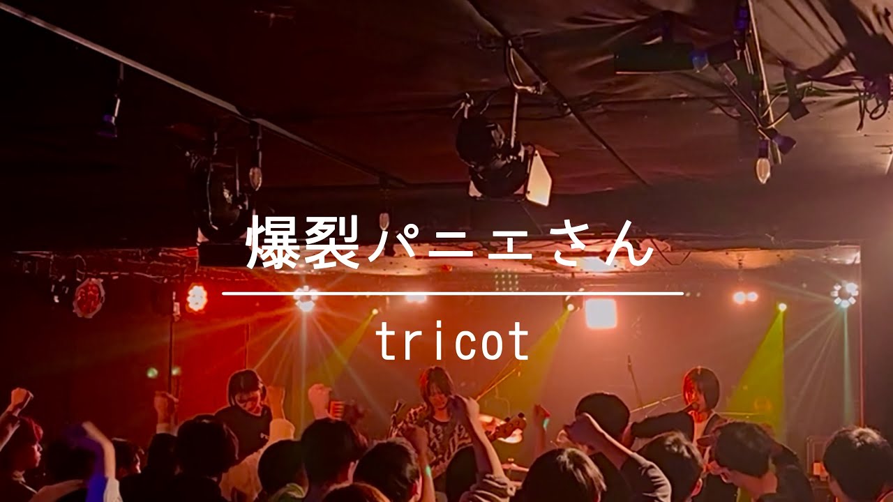 爆裂パニエさん - tricot (Band Cover)
