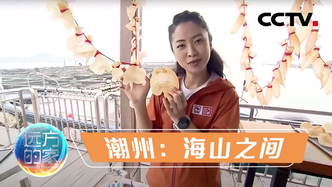 《远方的家》 20220530 世界潮人寻根地（2） 潮州：海山之间|CCTV中文国际