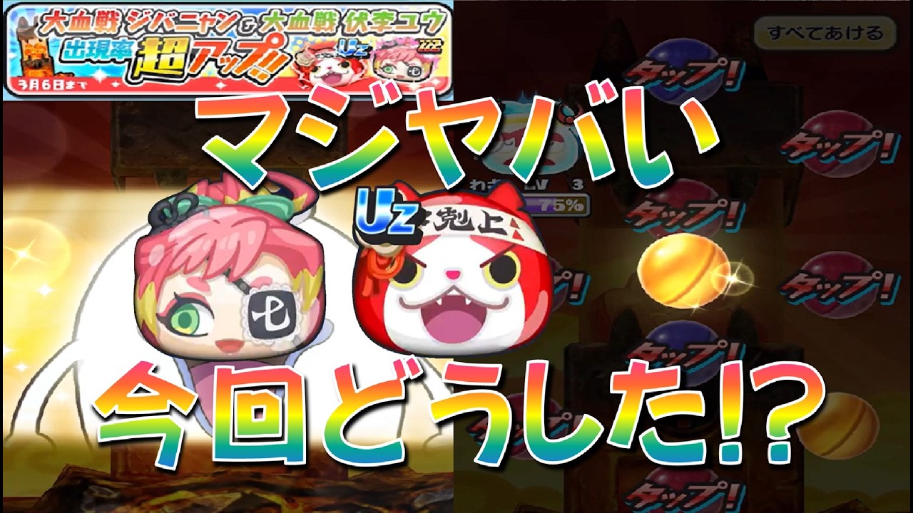 【大血戦ジバニャン出現率超アップガシャ回す!】　愛と憎しみの人気投票大血戦　妖怪ウォッチぷにぷに Yo-kai Watch