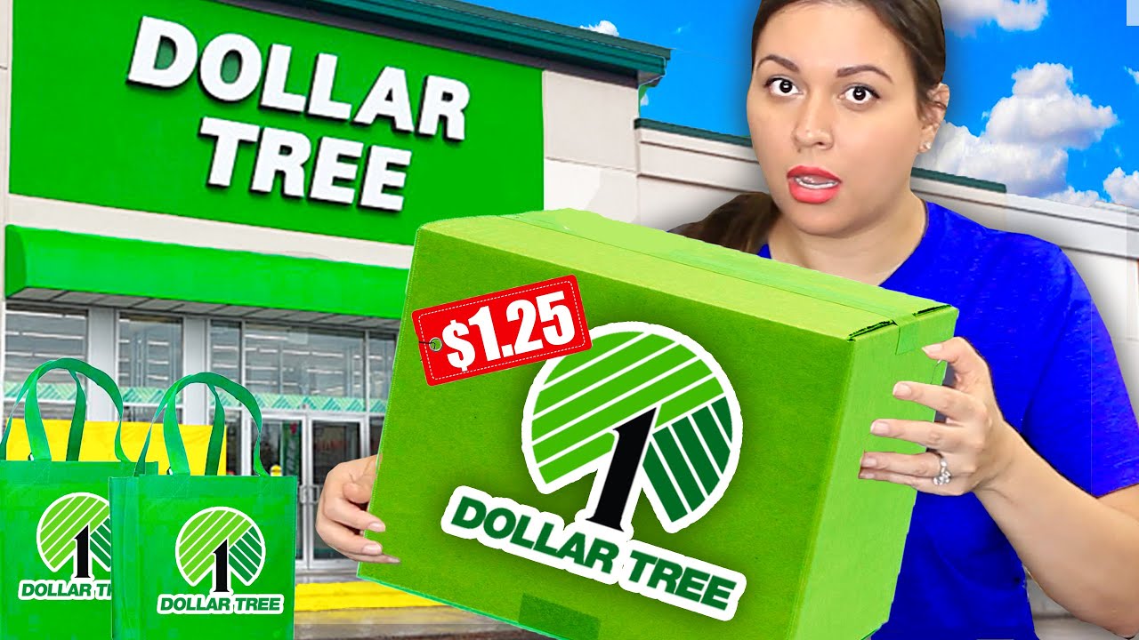 I Bought ALL Brand Name Products at Dollar Tree for $1.25 | Dollar Tree
