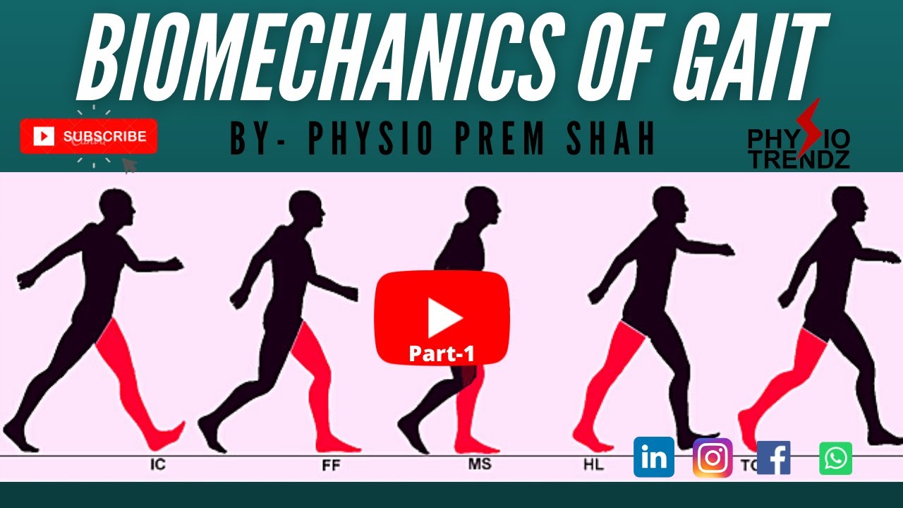 Easy Human Gait Analysis Biomechanics For Physiotherapy Students ||Human locomotion