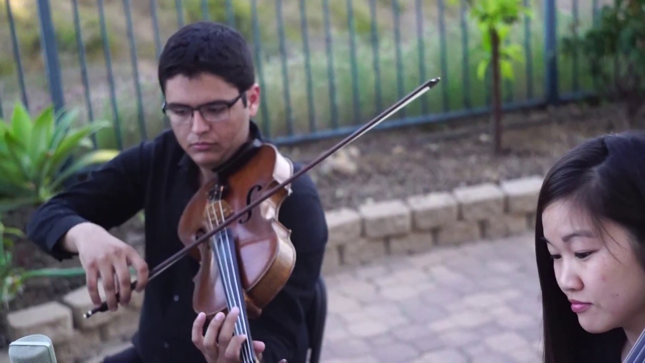 OMG: Can't Help Falling In Love | San Diego String Trio