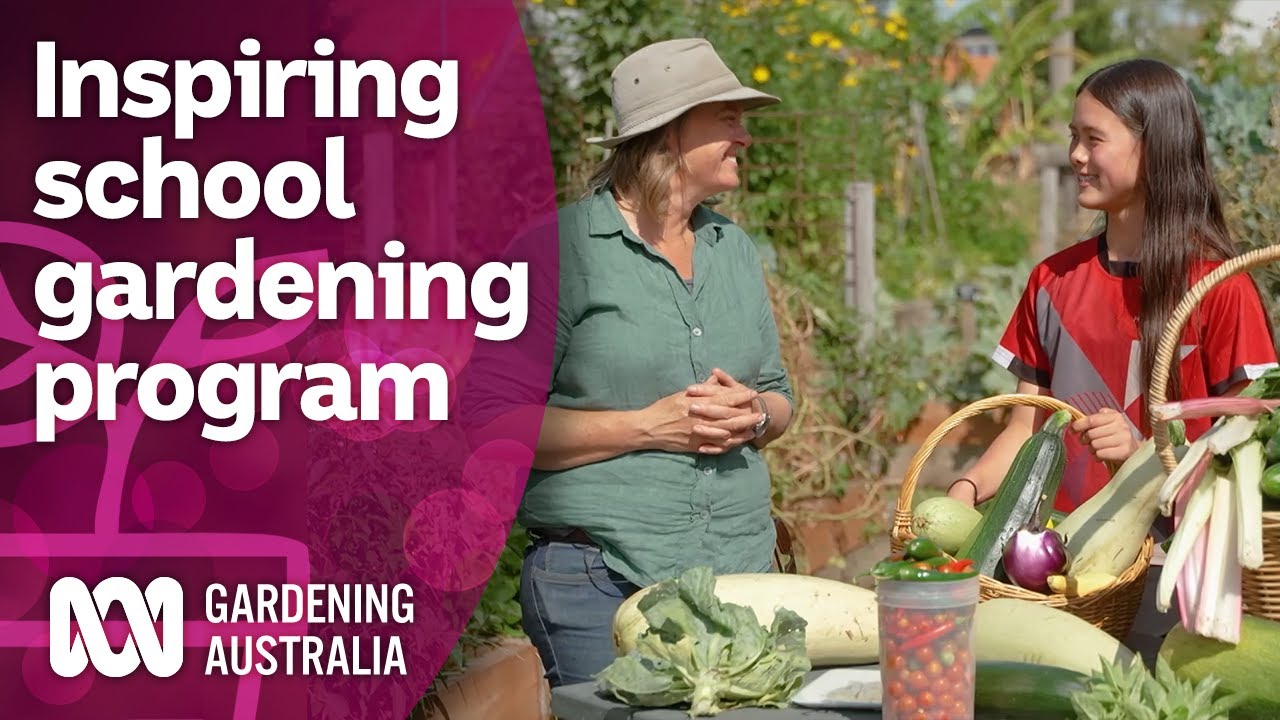 Touring an inner city school with an award-winning gardening program | Gardening Australia