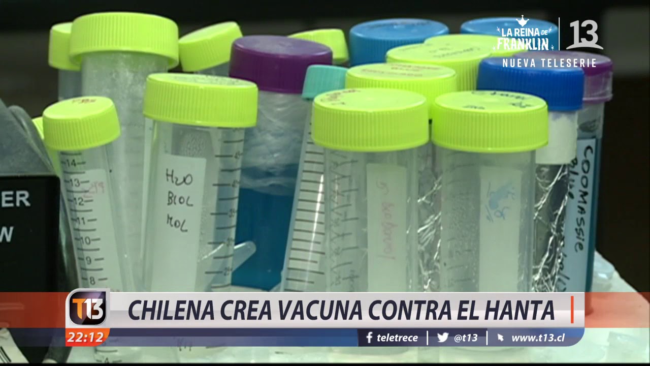 Chilena crea vacuna contra el virus Hanta