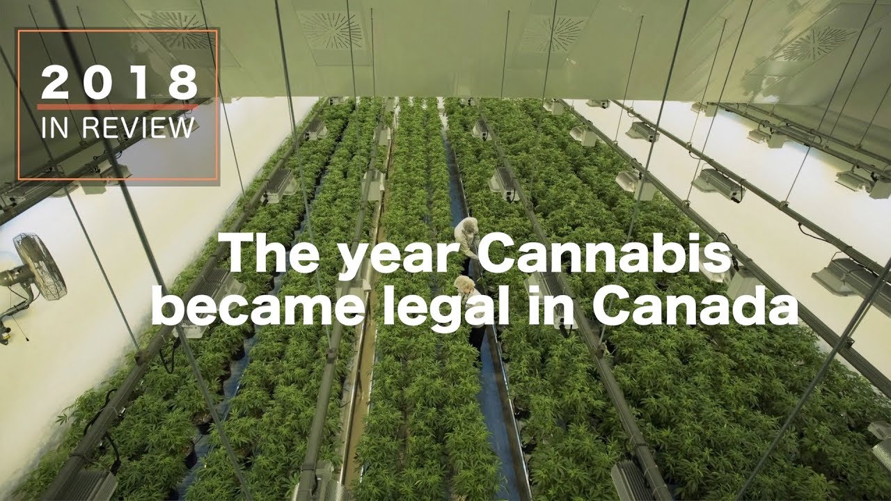 Behind the News: Why we sent a reporter to buy drugs | 2018 in Review