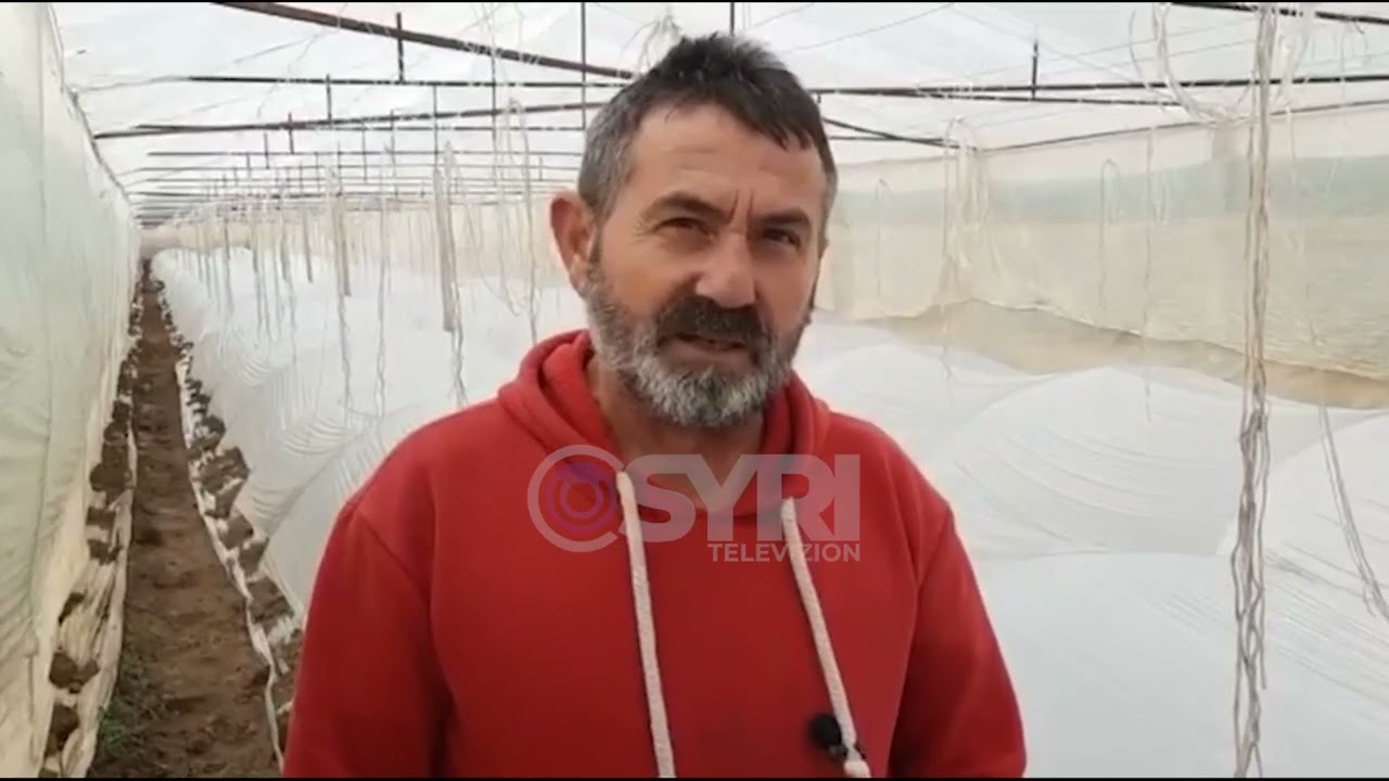 Prodhimet bujqësore në Goriçan hidhen në kanal, fermerët: Kemi frikë të flasim në media