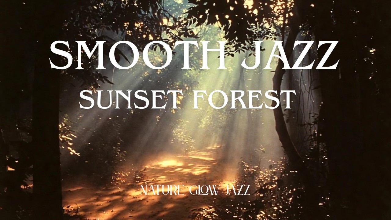 Sunset Forest Jazz Instrumental 🌅 Relaxing Evening Jazz Music in the Forest