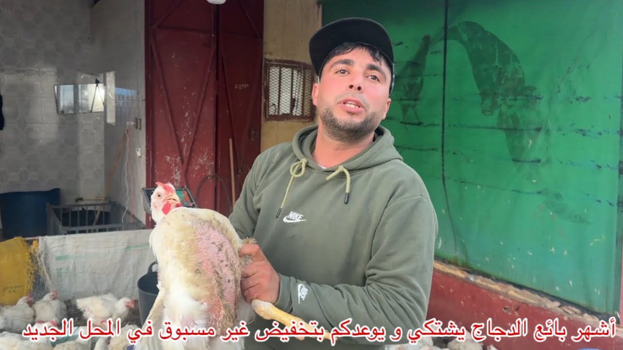 🔴أشهر بائع الدجاج يشتكي و يوعدكم بتخفيض غير مسبوق في المحل الجديد