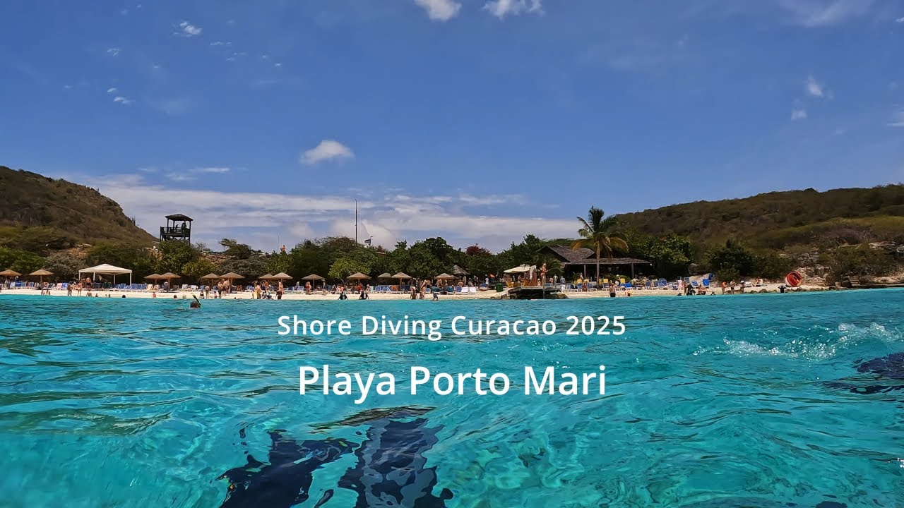 Shore Diving at Playa Porto Mari, Curacao 2025