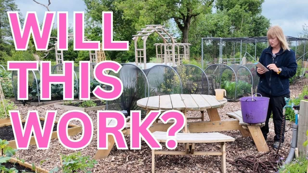 How I’m Dealing With Slugs in My Vegetable Garden | Late Spring Planting Out