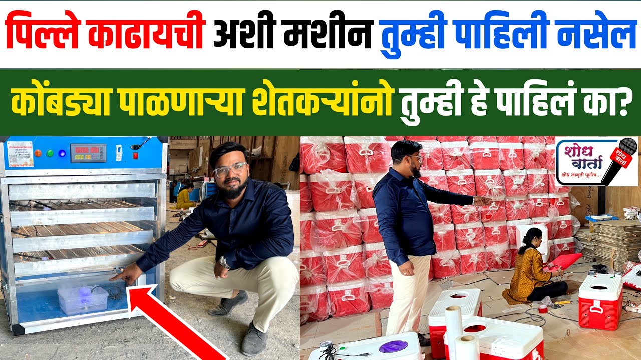 इंक्युबेटर मधून पिल्ले कसे काढतात? | Fully Automatic Incubator | गावरान कोंबडी पालन |शोध वार्ता |