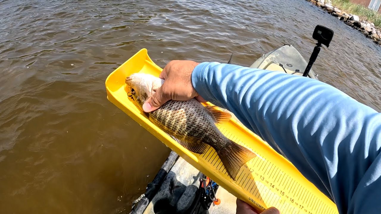 Late May Kayak Fishing Choctawhatchee Bay