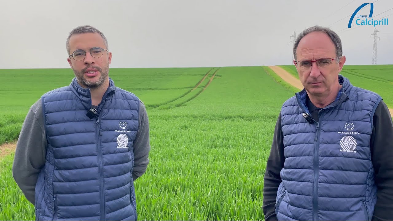 Témoignage Calciprill