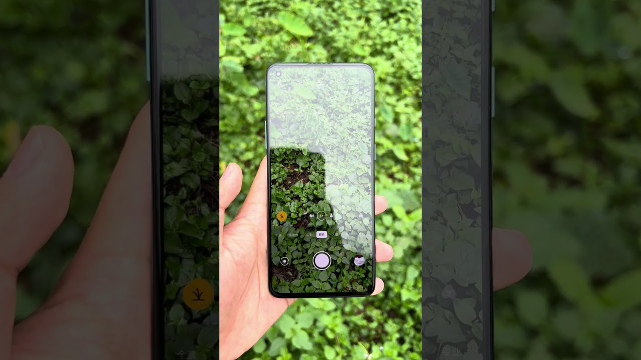 Was the Snapdragon 865 the most beautiful and powerful flagship phone back then? How would you rate