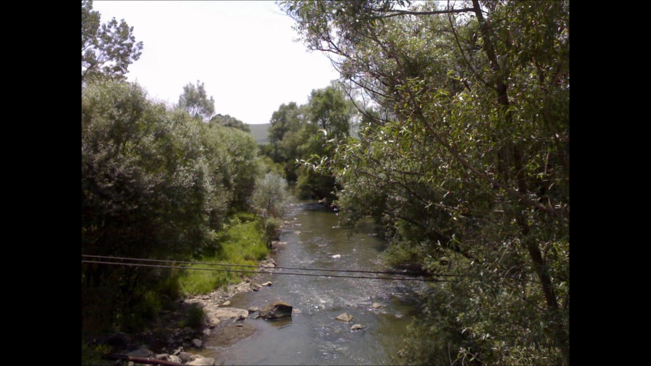 Beshtasheni Tsalka Georgia