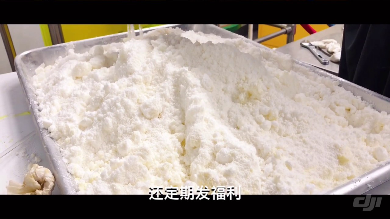 Hemp Master 汉麻大师频道简介 | 一个专注CBD汉麻的频道