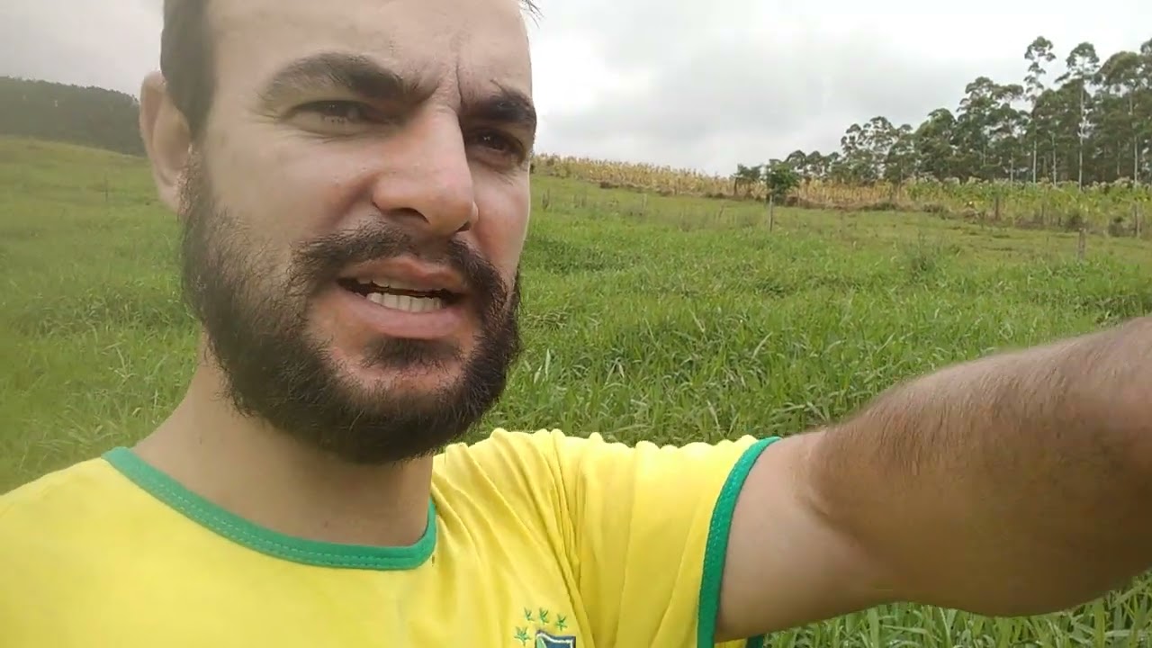 # capim tangola vídeo I, ele é guerreiro!