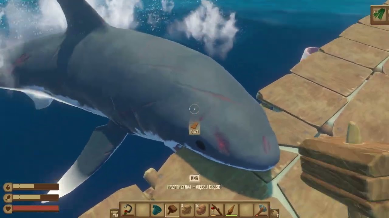 Raft, Otwarte morze, morze śmieci #14
