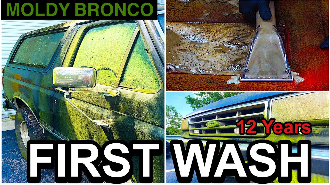 Находка на скотном дворе после катастрофы | Сильно заплесневелый Bronco | Первая мойка за 12 лет ...