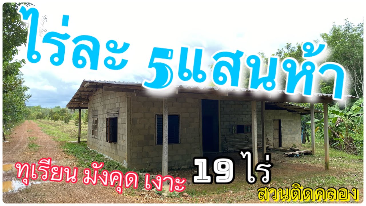 LDC-00126 #ขายสวนทุเรียน บ้านสวนผลไม้ติดคลอง✨ เงาะ มังคุด ต.เขาแก้ว อ.ท่าใหม่ จันทบุรี #เล่นที่ดิน🌿