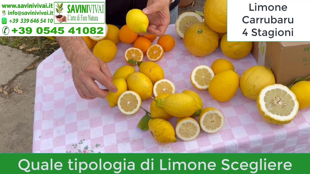 Come scegliere il Limone perfetto !!!