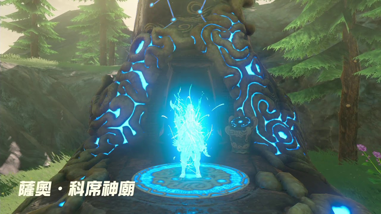 林克