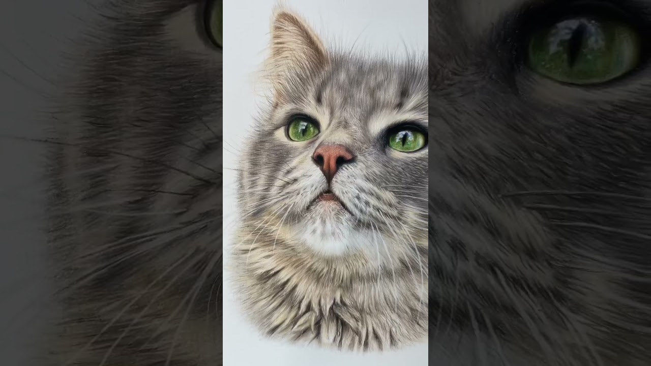 The most realistic cat I’ve ever drawn!! ✍🏼 