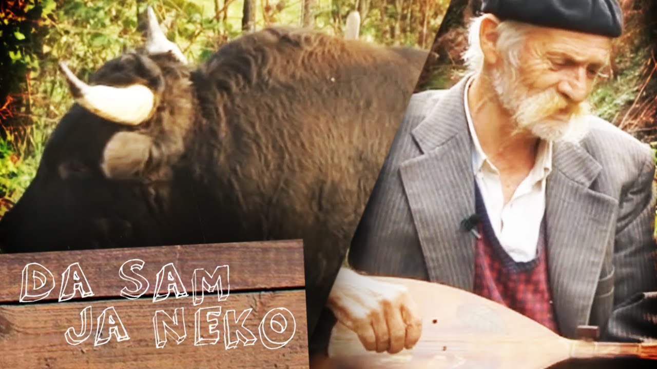 Da sam ja neko - Banovići Selo - 12.11.2013