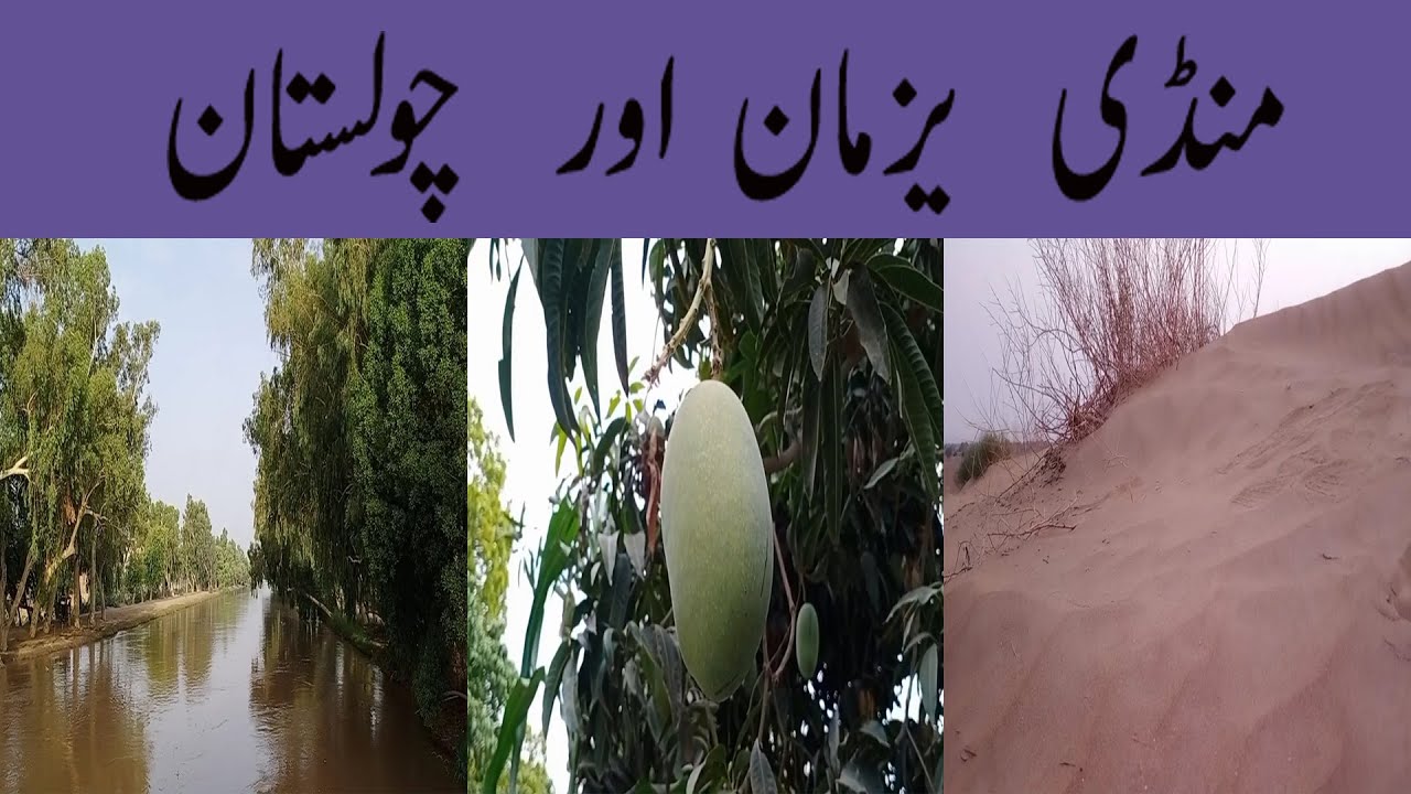 Mandi YAZMAN | CHOLISTAN | Rawalpindi | Bahawal Pur Vlog | Final Part