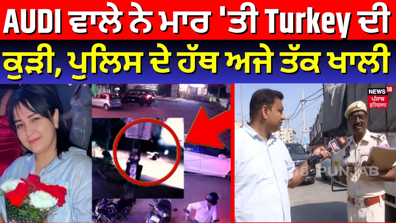 Zirakpur Accident News | AUDI ਵਾਲੇ ਨੇ ਮਾਰ 'ਤੀ Turkey ਦੀ ਕੁੜੀ, ਪੁਲਿਸ ਦੇ ਹੱਥ ਅਜੇ ਤੱਕ ਖਾਲੀ | N18V