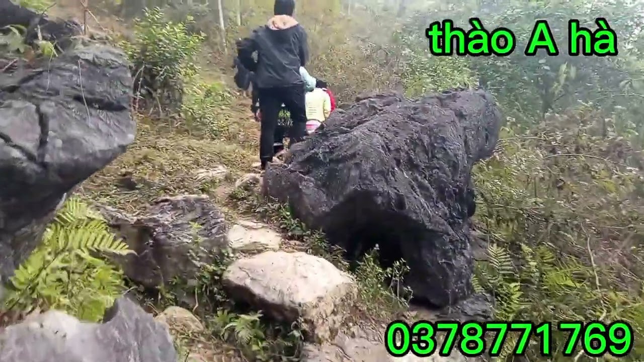 đi đón Dâu ở thượng Tân ở tít trên đồi cao chú rể quỳ hai trăm lại khách đi ăn cưới thào A hà 