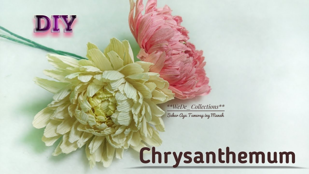 DIY || Membuat Bunga Chrysanthemum dari Kelobot Jagung || Recycle
