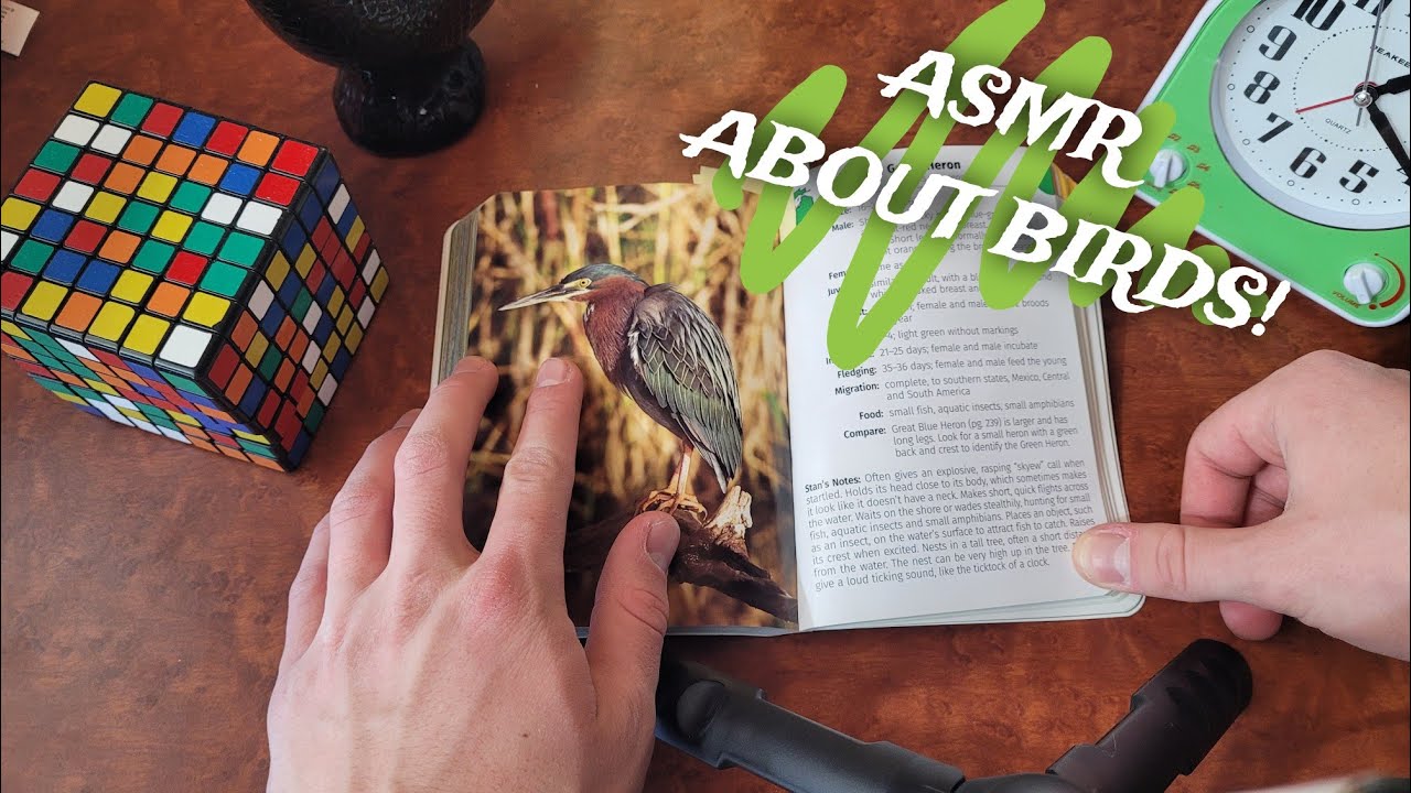 ASMR telling you about my favorite birds!🐦😴 | ASMR Whispered Ramble