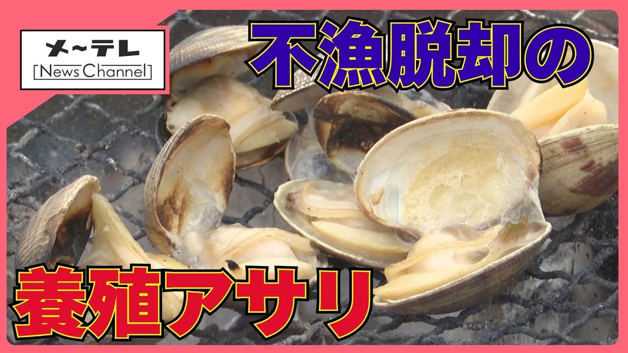 愛知県産アサリの激減続く　水質浄化が逆に災い、潮干狩りも相次ぎ中止　再生の切り札は&ldquo;すいかアサリ&rdquo; (26/04/13 17:40)