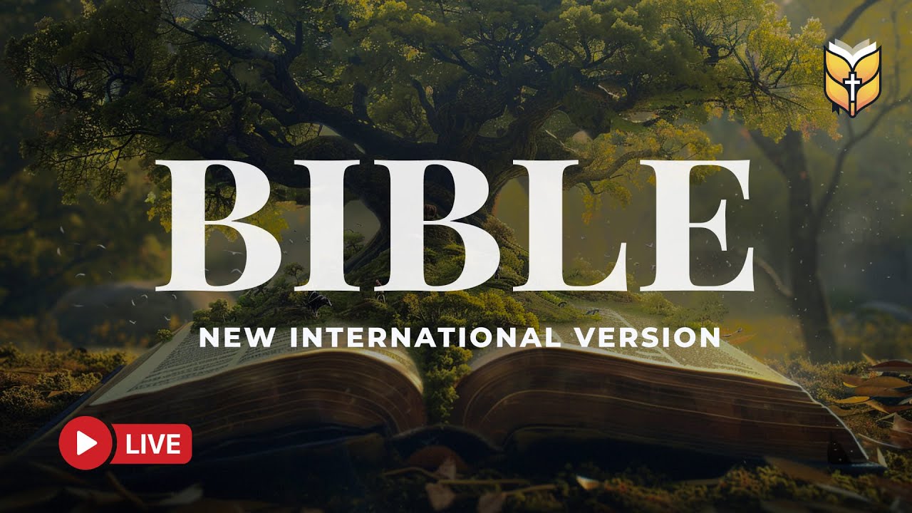 NIV Holy Bible Reading – Strengthen Your Heart with God’s Word 🔴 BibleVision LIVE