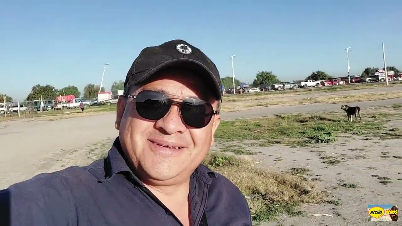 LA MEJOR PLAZA GANADERA DE HIDALGO-LISTA LA VENTA DE GANADO PARA LAS FIESTAS  DE FIN DE A&Ntilde;O.