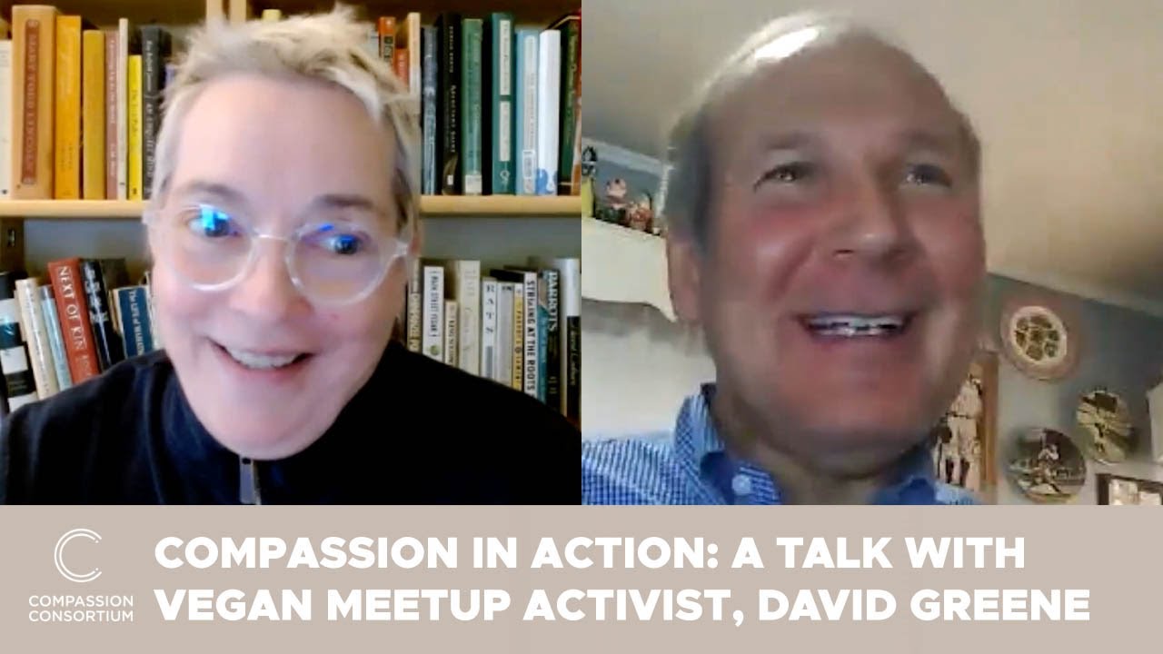 Compassion In Action: Elaine Interviews David Greene