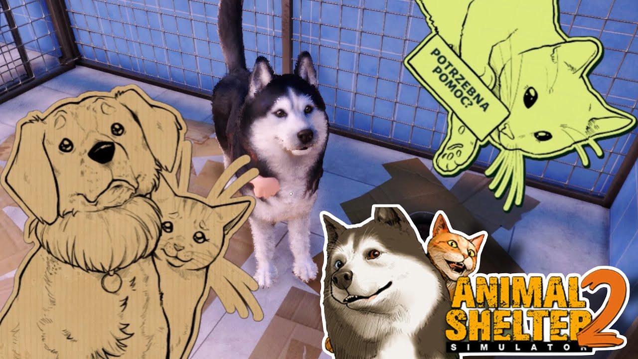 NAJSŁODSZY HUSKY EVER! MOŻLIWOŚĆ GRANIA Z WAMI || ANIMAL SHELTER 2