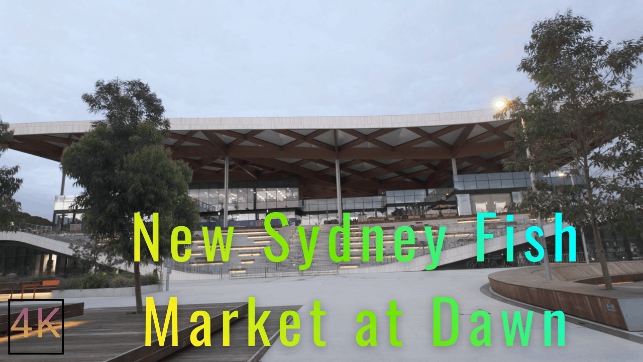 Sydney's New Fish Market Outdoor at Sunrise 🌤️ | 4K ASMR Walking Tour Before Opening