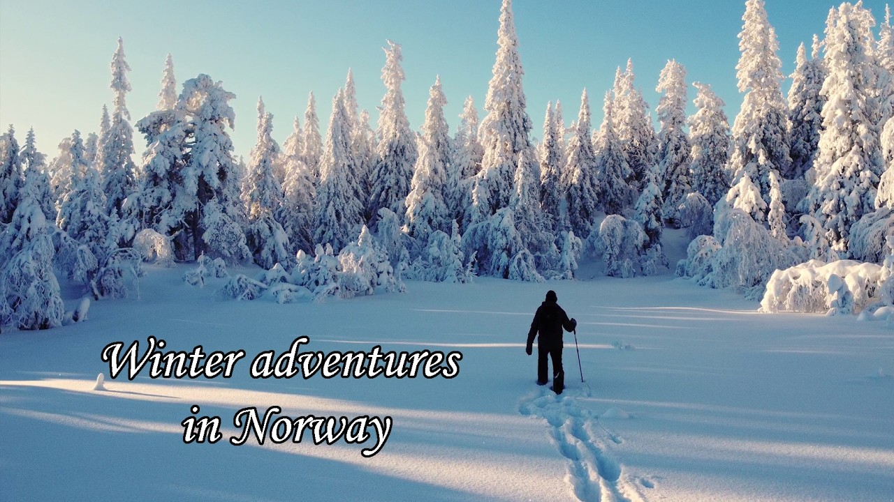 Winter Adventures in Norway | Dog Sledding & Snowshoeing
