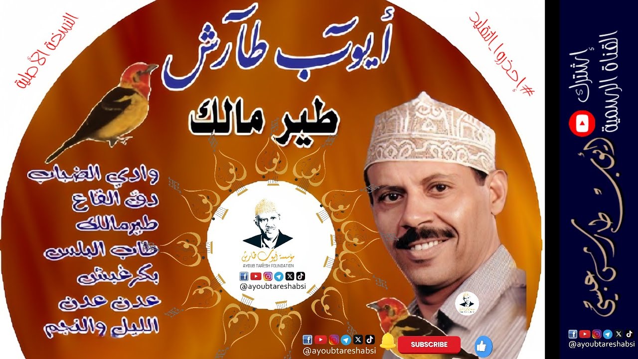 ايوب طارش | طير مالك - عود مع الايقاع  |  Ayoub Taresh