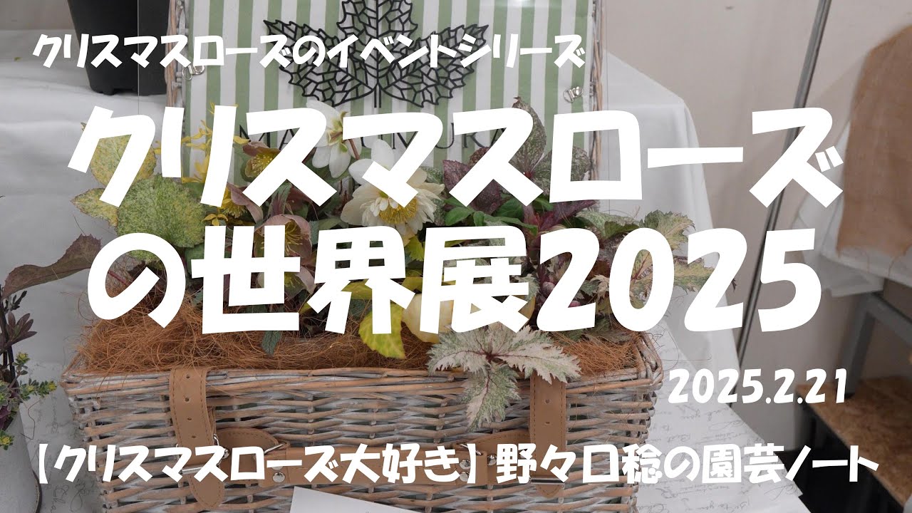 2025.2.21 クリスマスローズの世界展2025
