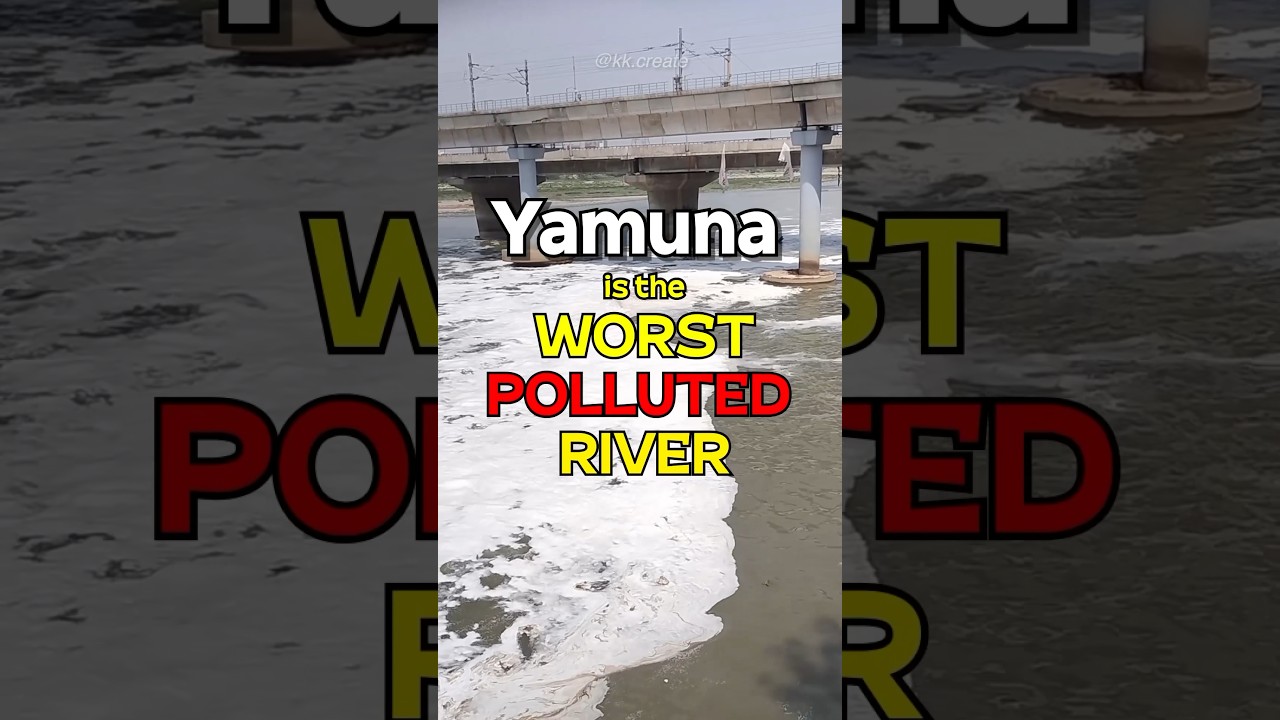 Yamuna is the worst polluted river?! #yamuna #delhi #shortsindia