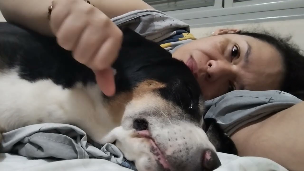 #dormindo 