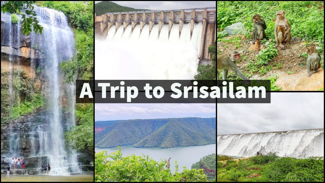 Hyderabad To Srisailam Dam | Mallela Theertham Waterfalls | Octopus View Point | Nallamala Forest
