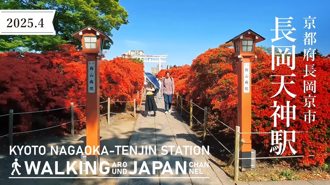 【4K/京都散歩】京都府長岡京市阪急長岡天神駅を街歩き Walking around Nagaokatenjin station,Kyoto,Japan,2025
