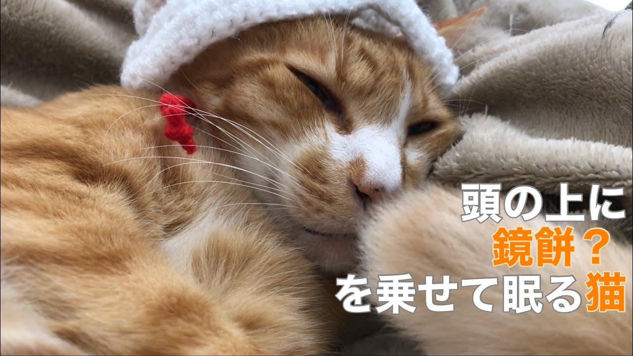 あけましておめでとうございます。