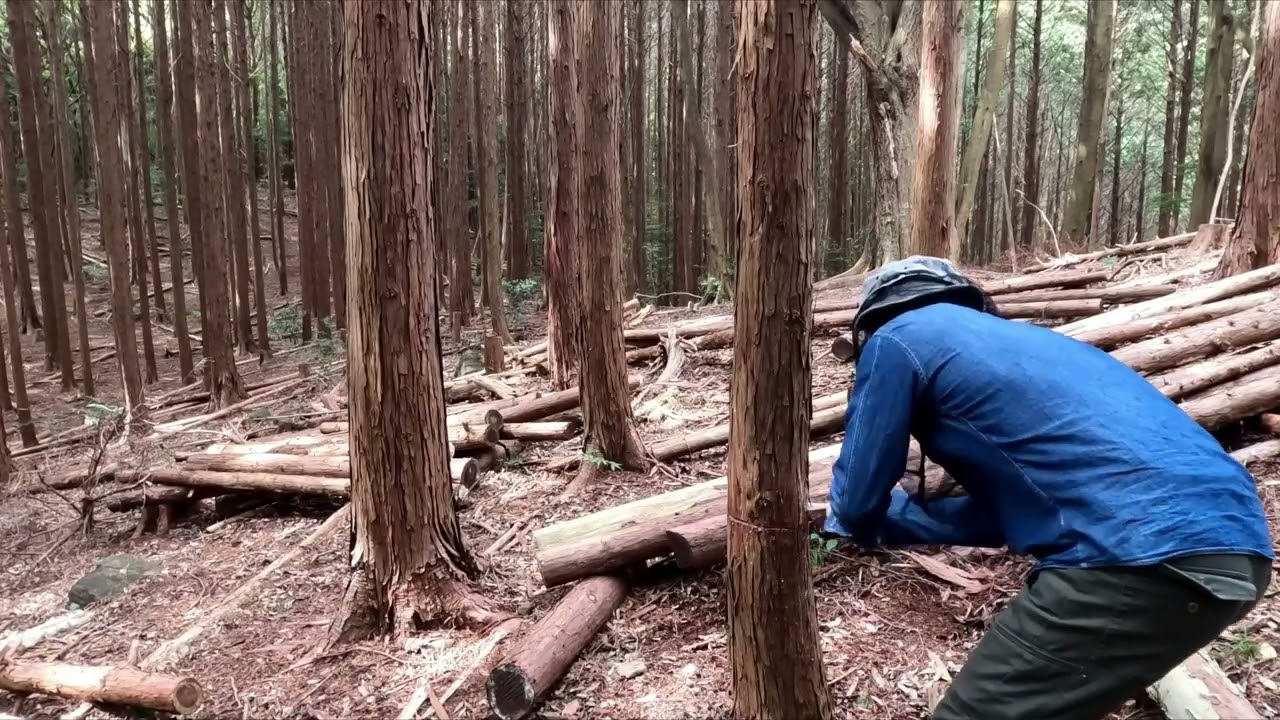 チルホールの使い方