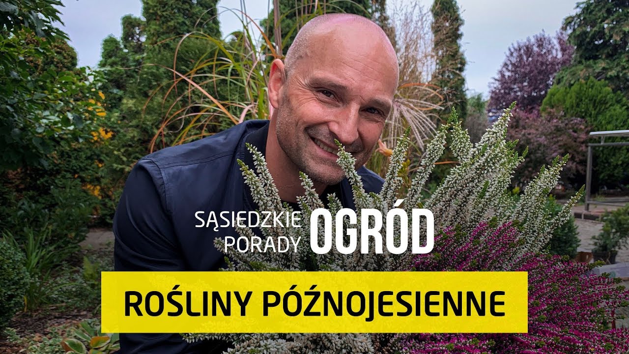 Jesienne rośliny do ogrodu [Sąsiedzkie Porady – Ogród]